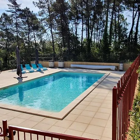 Grand Gite La Salamandre Proche Sarlat De 1 A 10 Personnes Saint-Andre-d'Allas Exterior photo