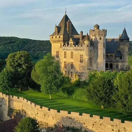 Grand Gite La Salamandre Proche Sarlat De 1 A 10 Personnes Saint-Andre-d'Allas Exterior photo