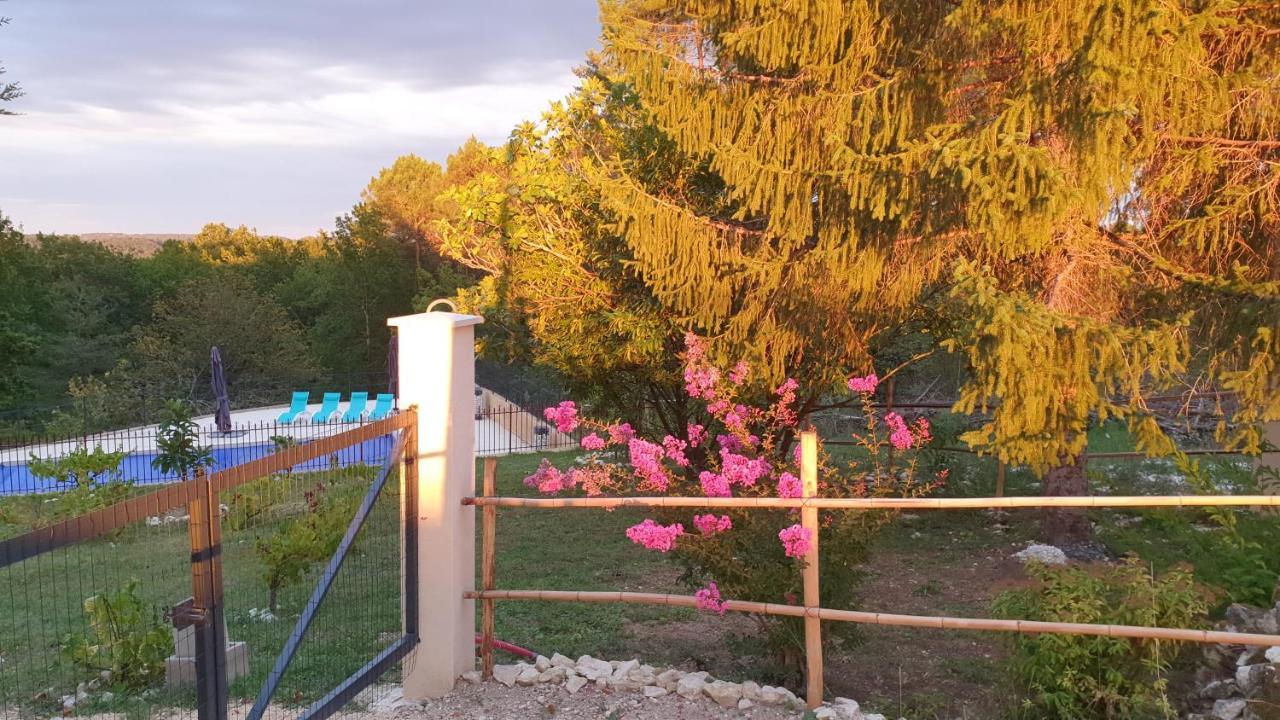 Grand La Salamandre Proche Sarlat De 1 A 10 Personnes Holiday home